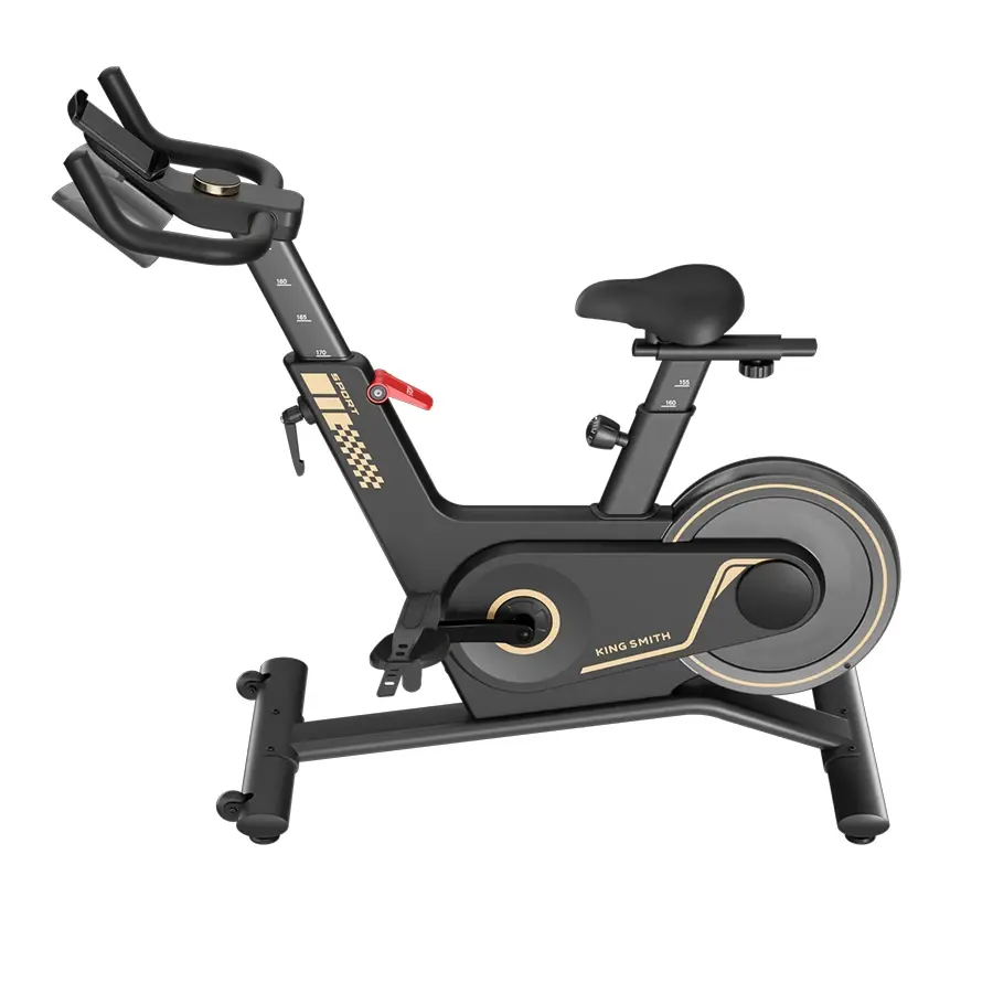 Kingsmith Spinning Bike PB08S
